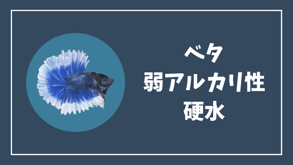 ベタに適しているのは弱アルカリ性の硬水という説