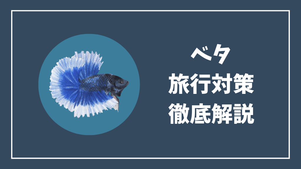 ベタの旅行対策