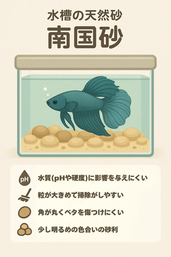 水槽の天然砂南国砂インフォグラフィック