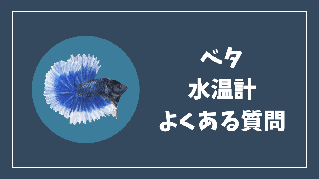 ベタの水温計のよくある質問