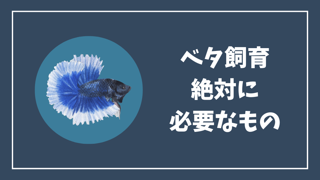 ベタ飼育に必ず必要なもの