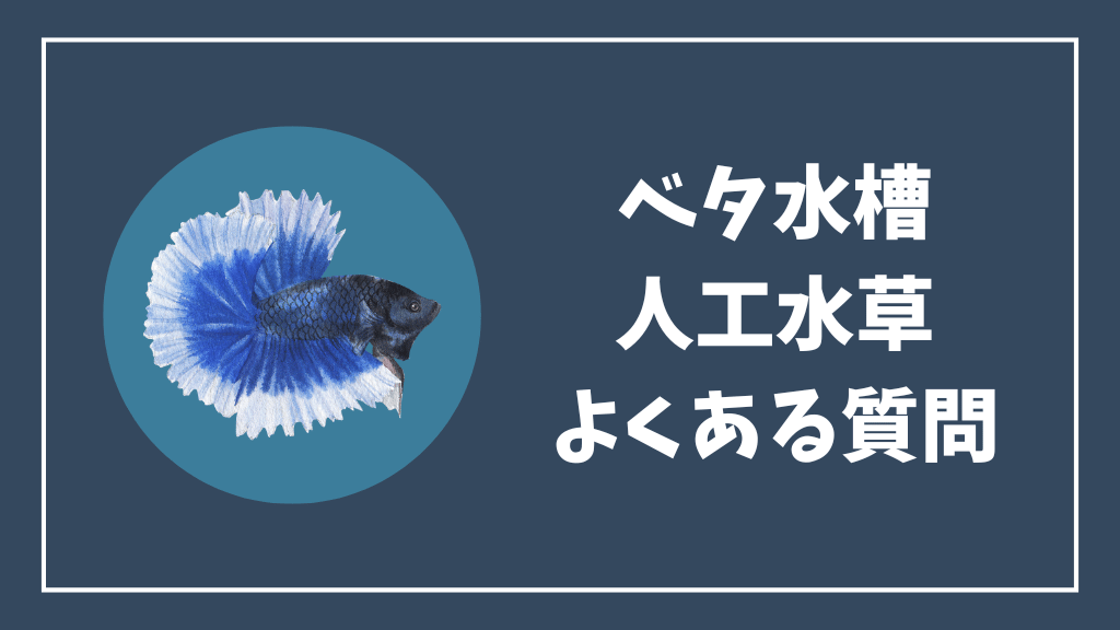 ベタ水槽の人工水草のよくある質問