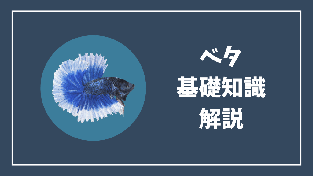 ベタの基礎知識