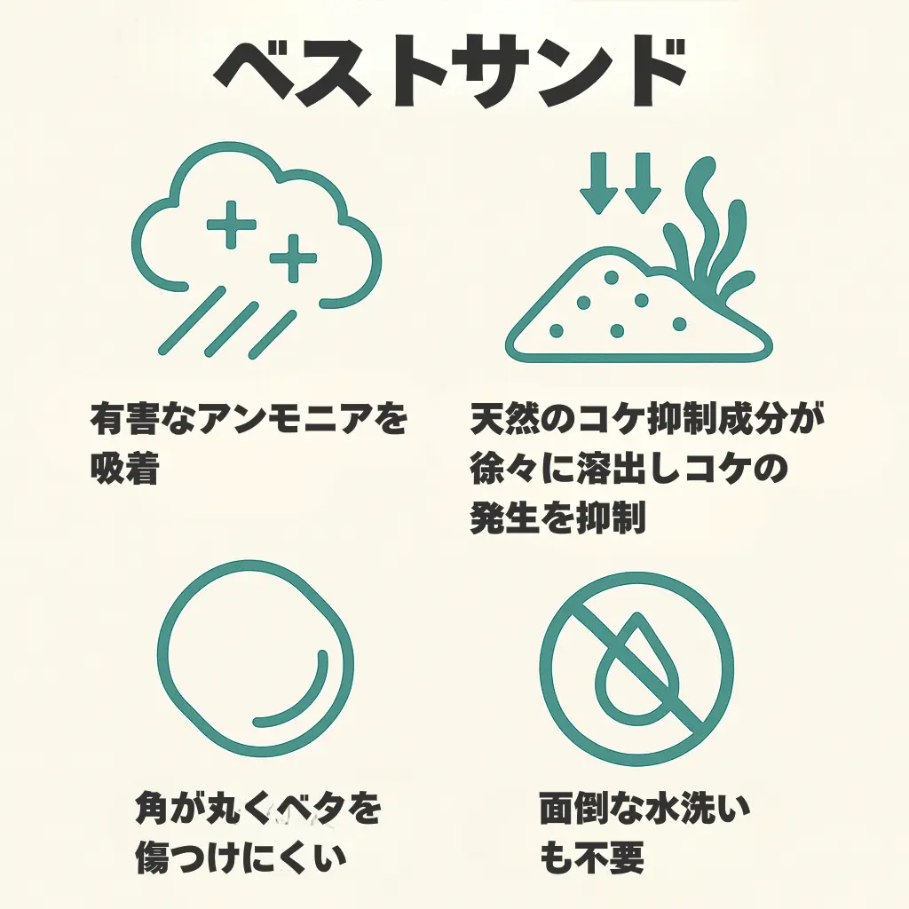 ベストサンドインフォグラフィック