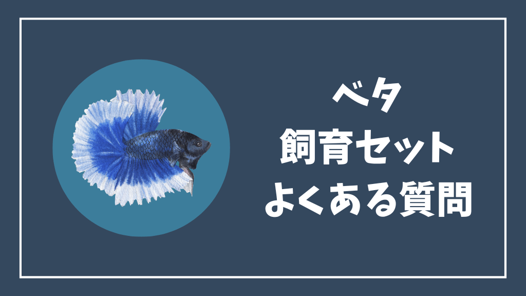 ベタ飼育セットのよくある質問