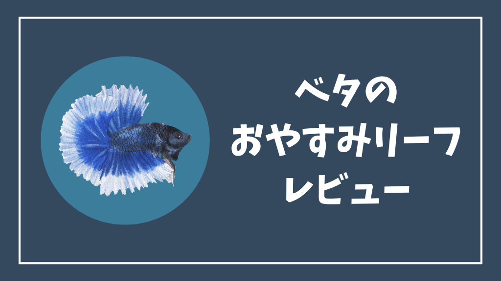 ベタのおやすみリーフレビュー