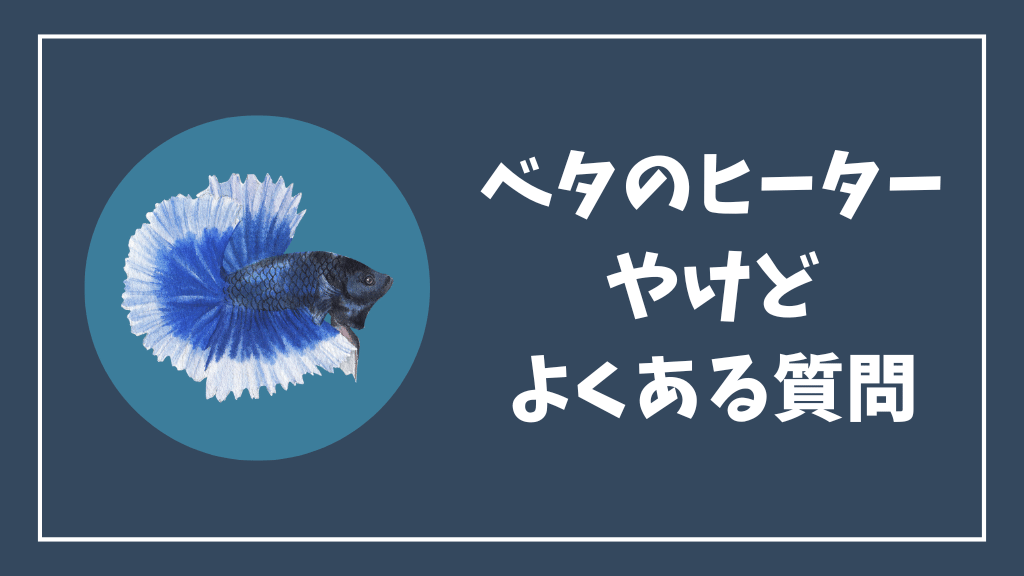 ベタのヒーターによるやけどのよくある質問