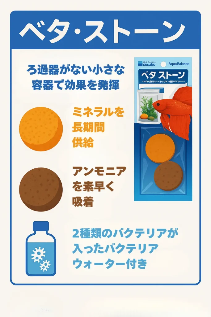 ベタストーンインフォグラフィック