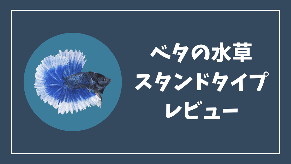 ベタの水草スタンドタイプレビュー