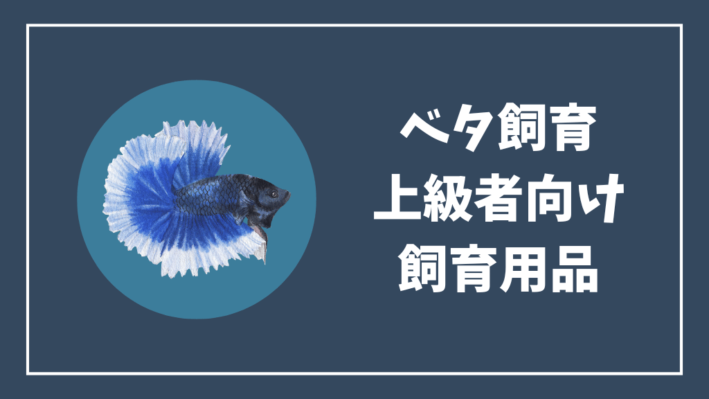 ベタ飼育上級者向けの飼育用品