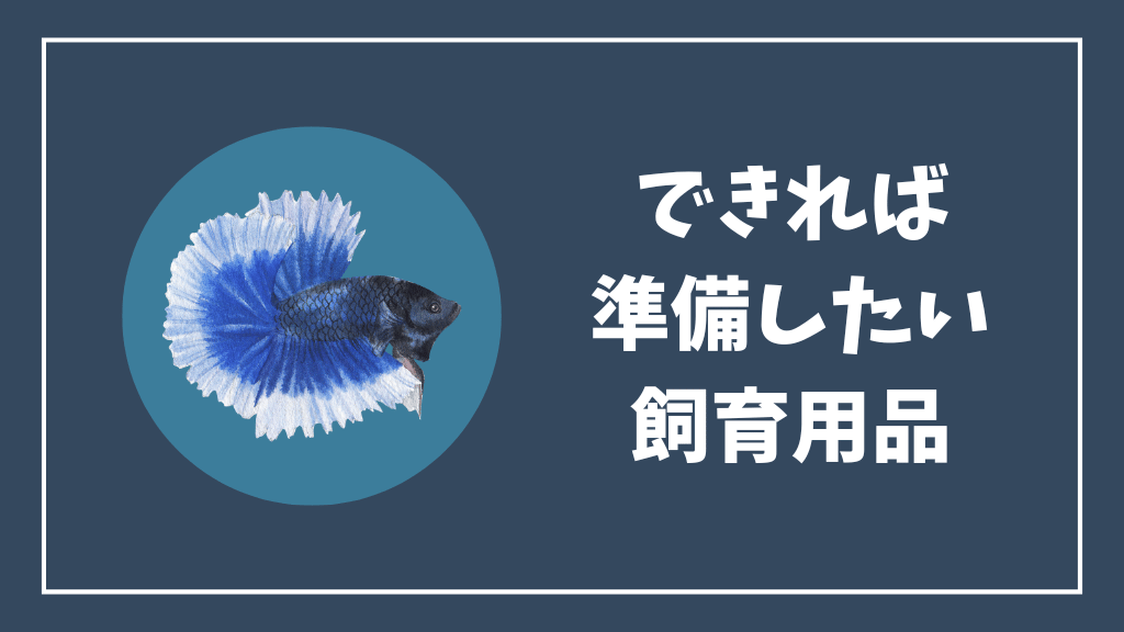 できれば準備したいベタの飼育用品