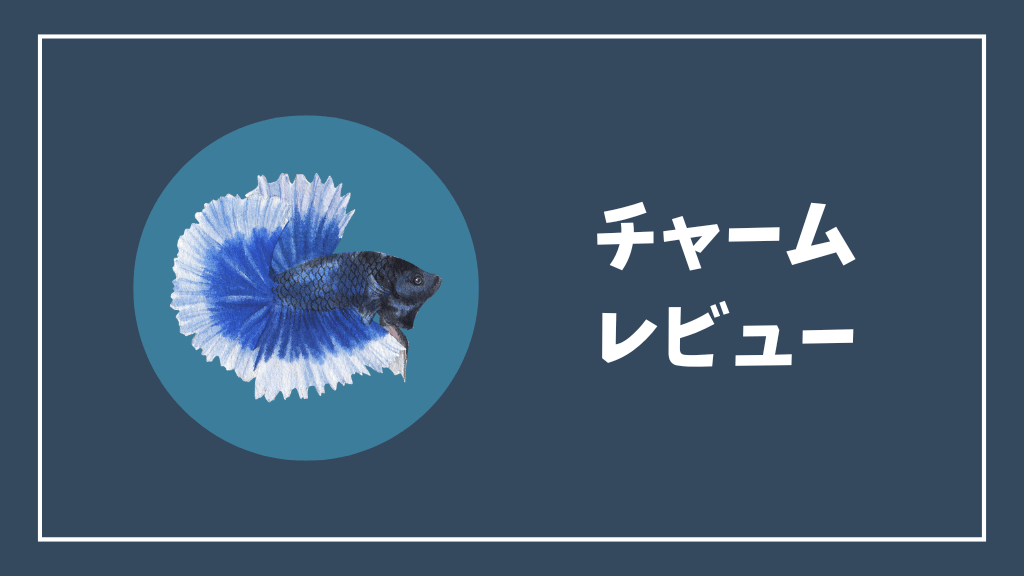 チャームレビュー