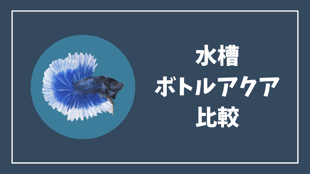 水槽とボトルアクアリウムの比較