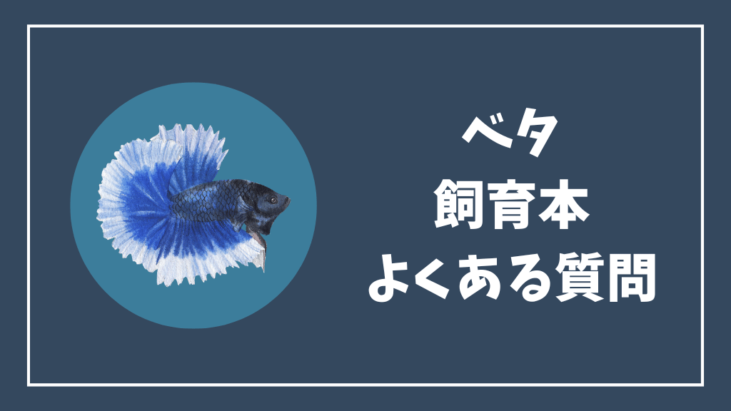 ベタの飼育本のよくある質問