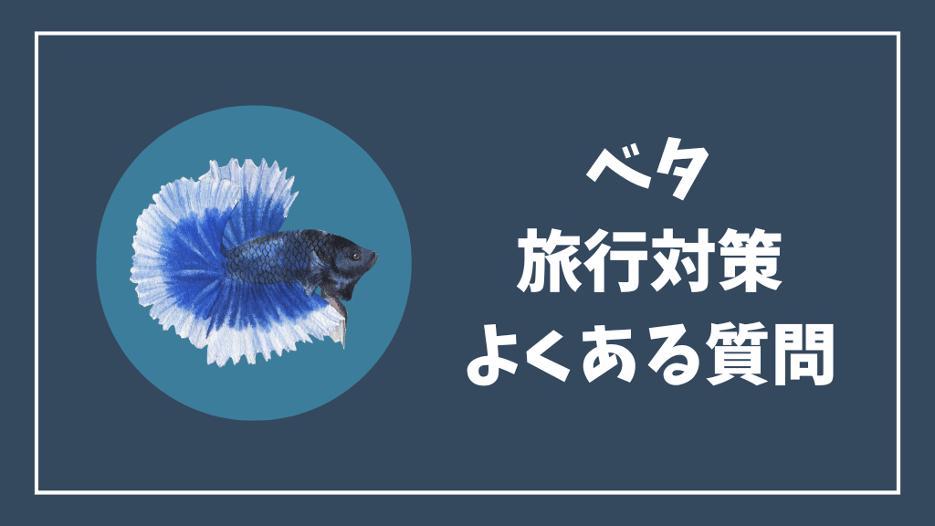 ベタの旅行対策のよくある質問