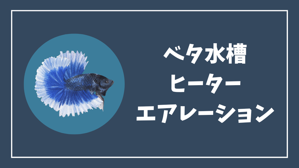 ベタ水槽のヒーターとエアレーション