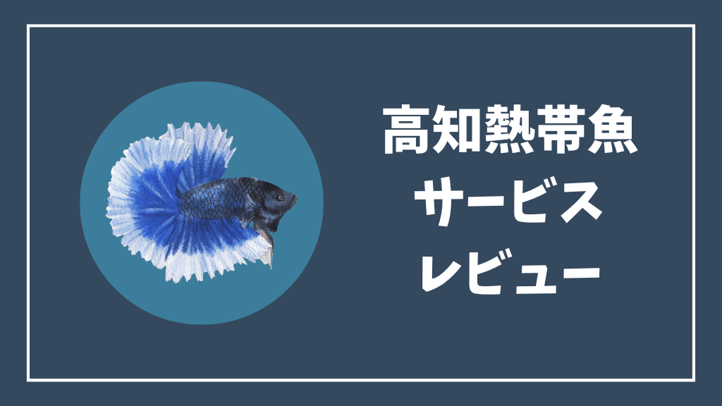 高知熱帯魚サービスレビュー