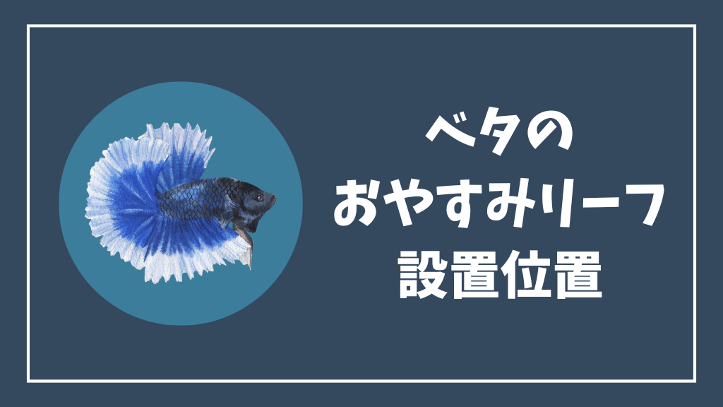 ベタのおやすみリーフの設置位置