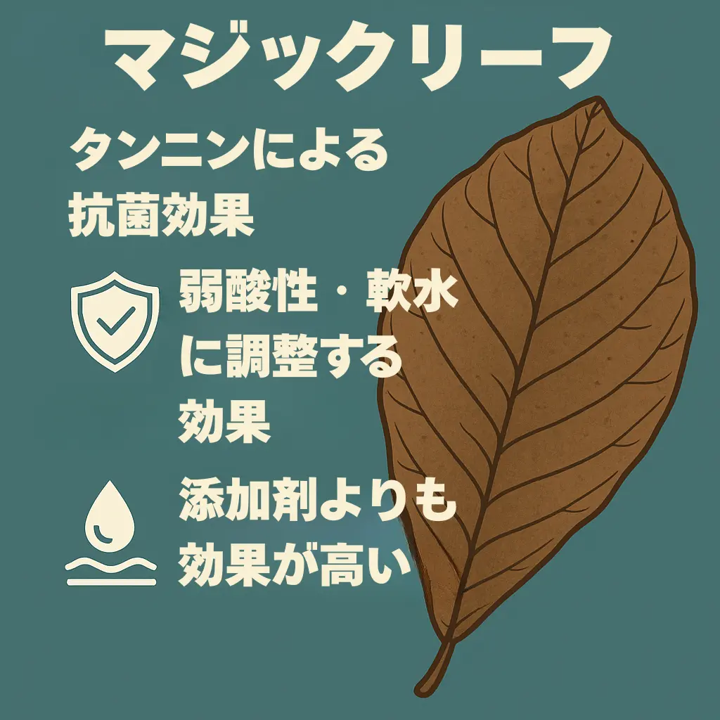マジックリーフインフォグラフィック