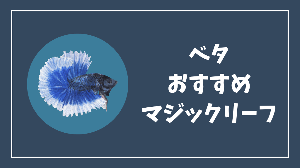 ベタにおすすめのマジックリーフ