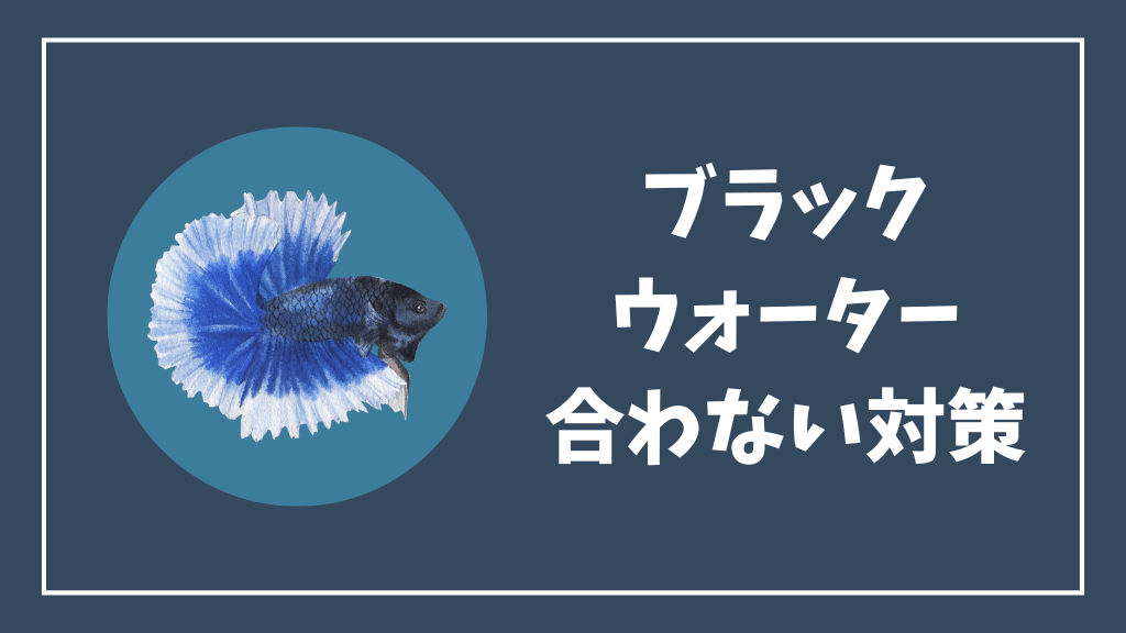 ベタにブラックウォーターが合わない対策
