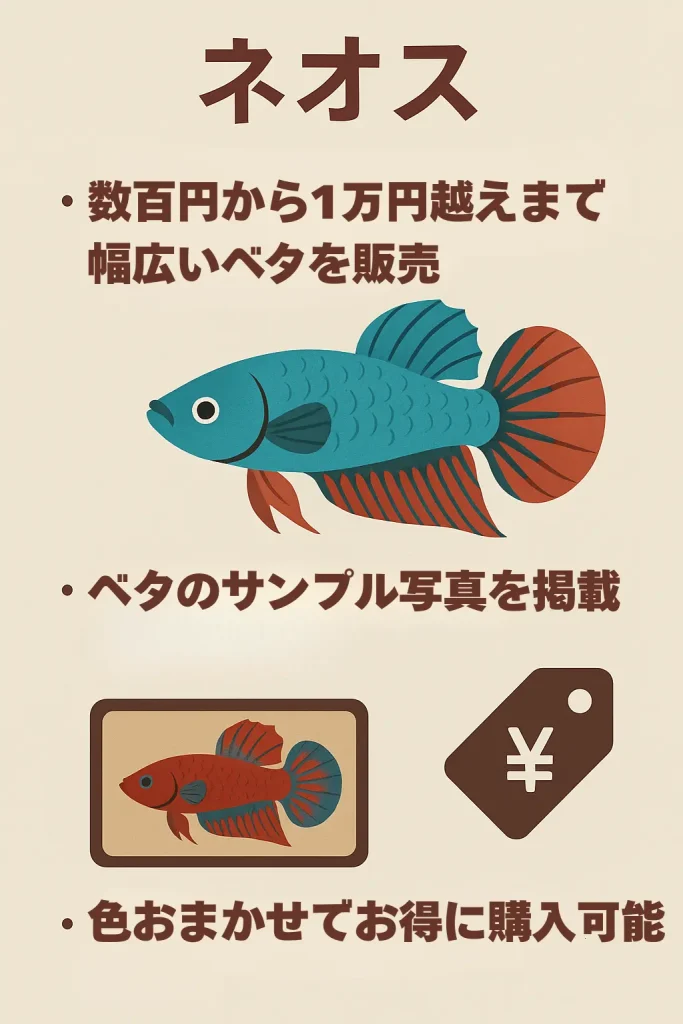 ネオスインフォグラフィック