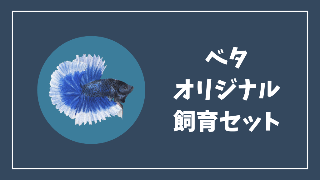 ベタのオリジナル飼育セット