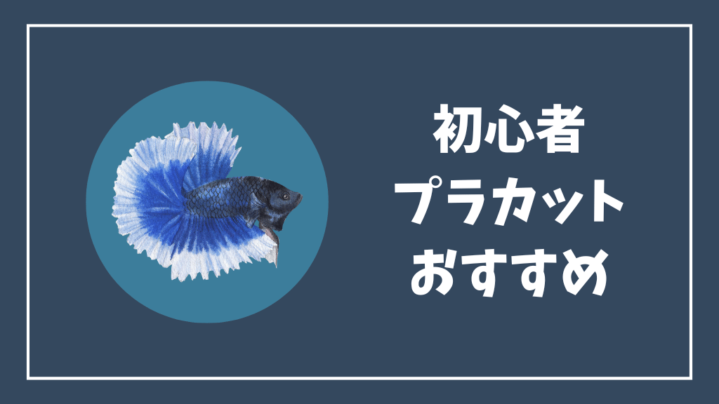 初心者にはプラカットがおすすめ
