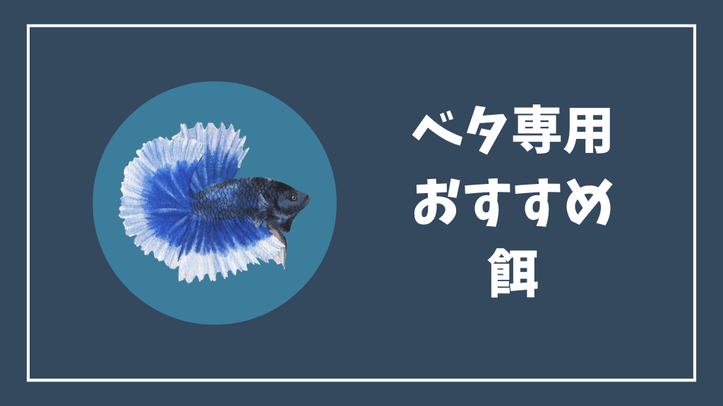 ベタ専用おすすめ餌