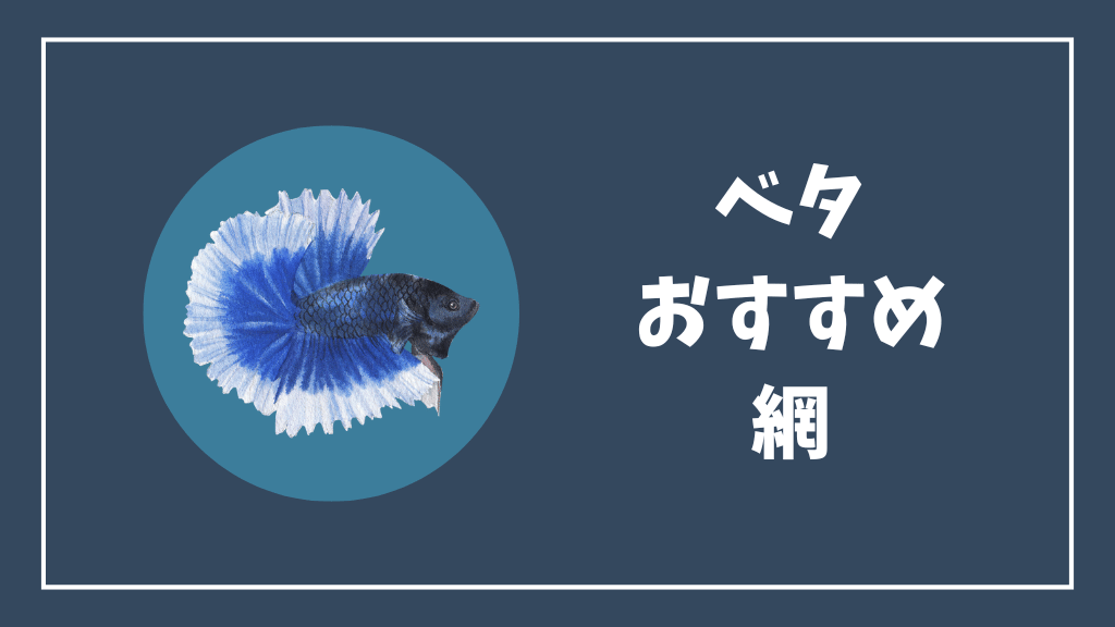 ベタにおすすめの網