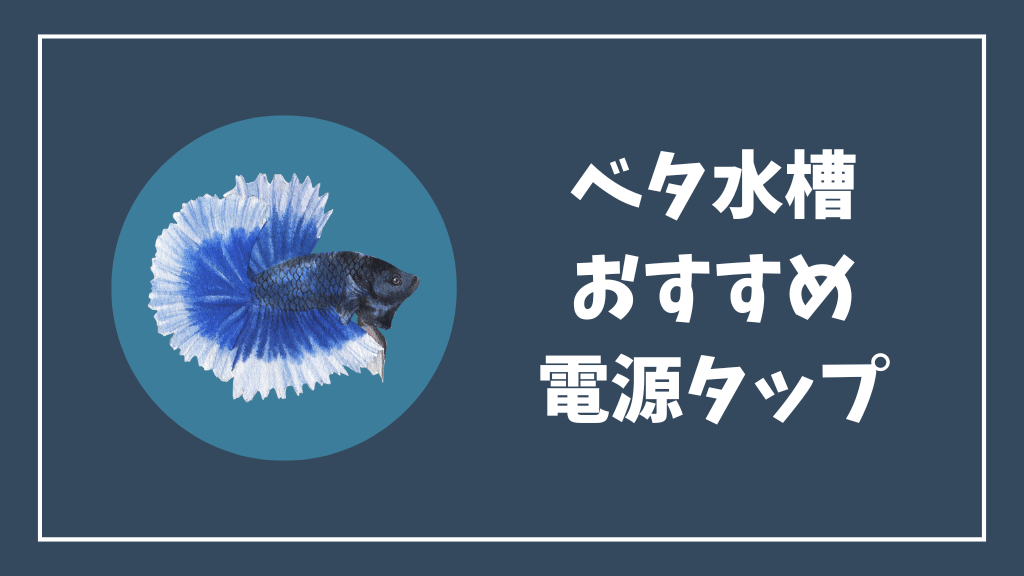 ベタ水槽のおすすめ電源タップ