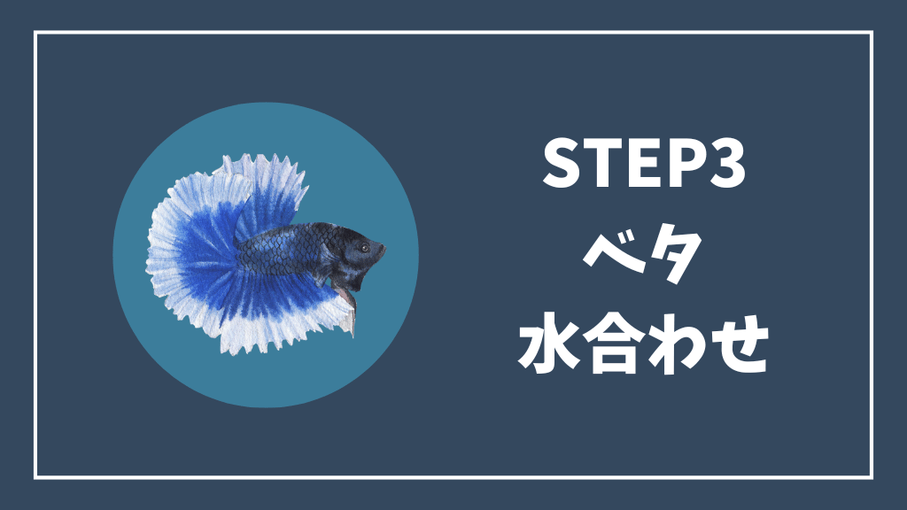 ステップ③ベタの水合わせ