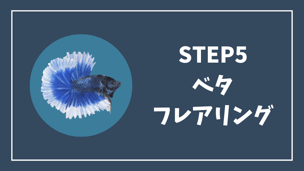 ステップ⑤ベタのフレアリング