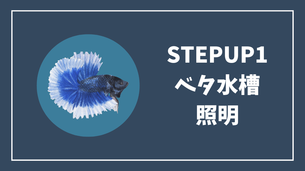 ステップアップ①ベタ水槽の照明