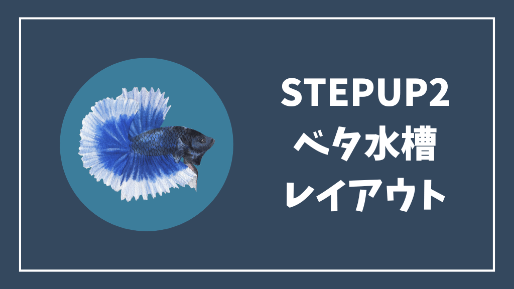 ステップアップ②ベタ水槽のレイアウト