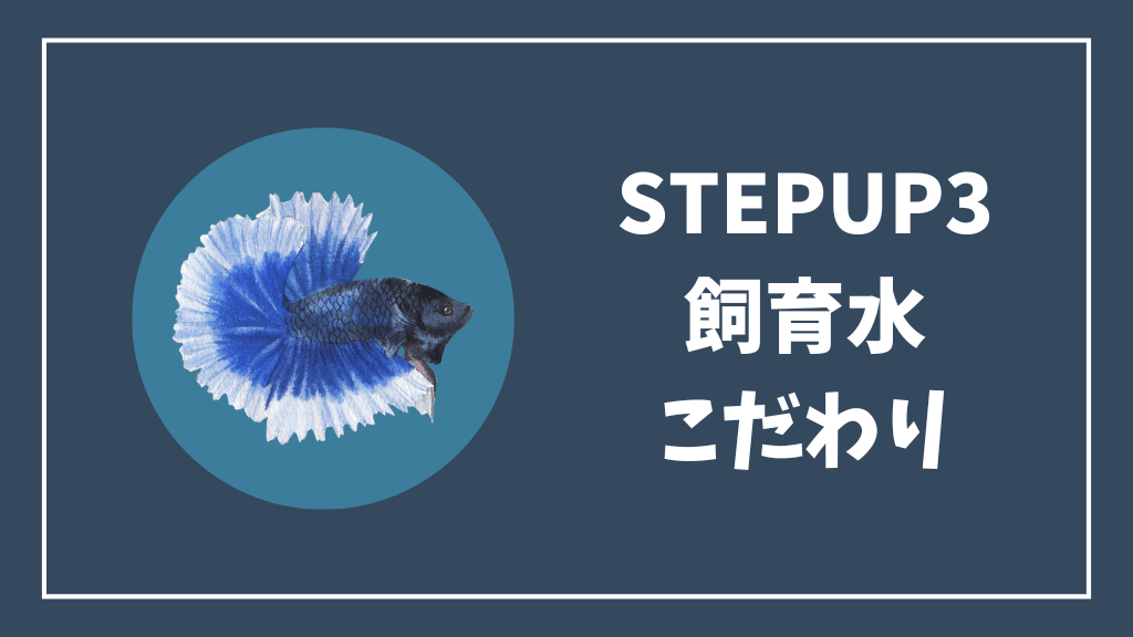 ステップアップ③飼育水のこだわり