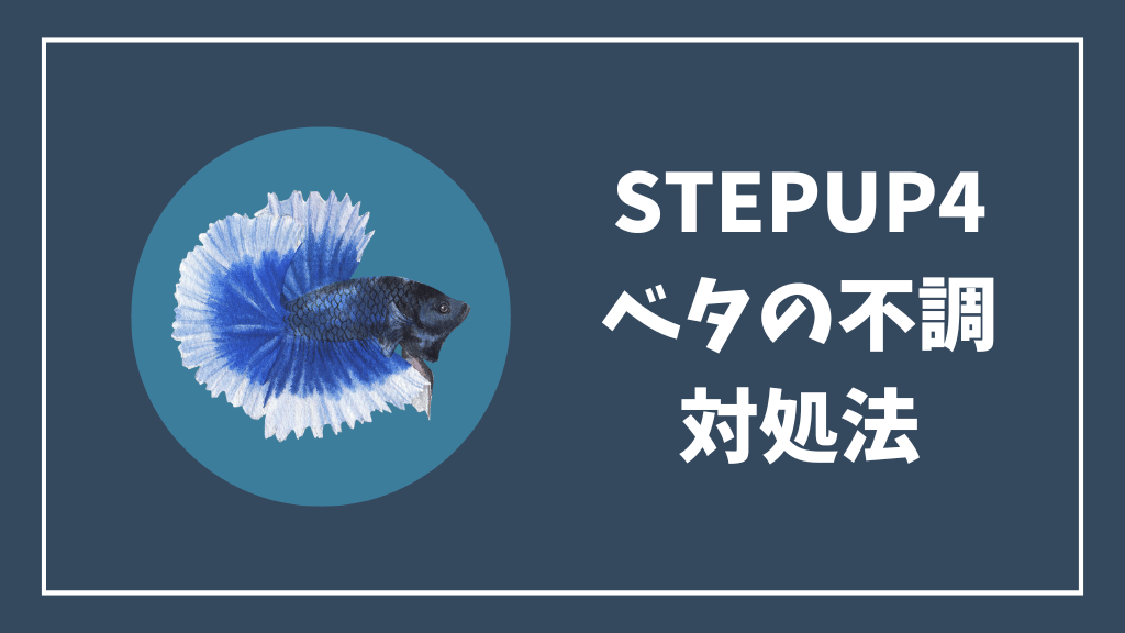 ステップアップ④ベタの不調の対処法