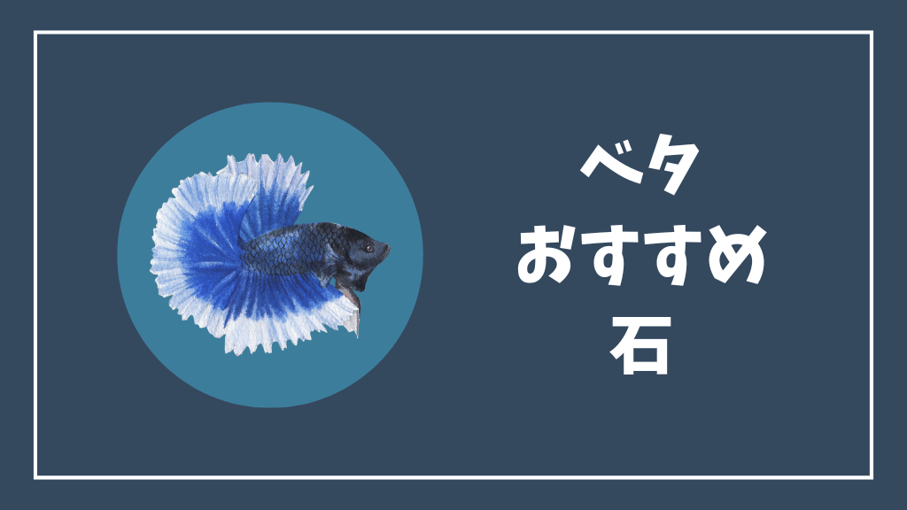 ベタにおすすめの石