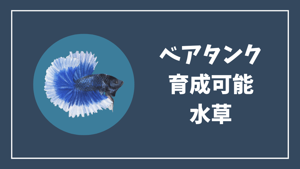 ベアタンクで育成可能な水草