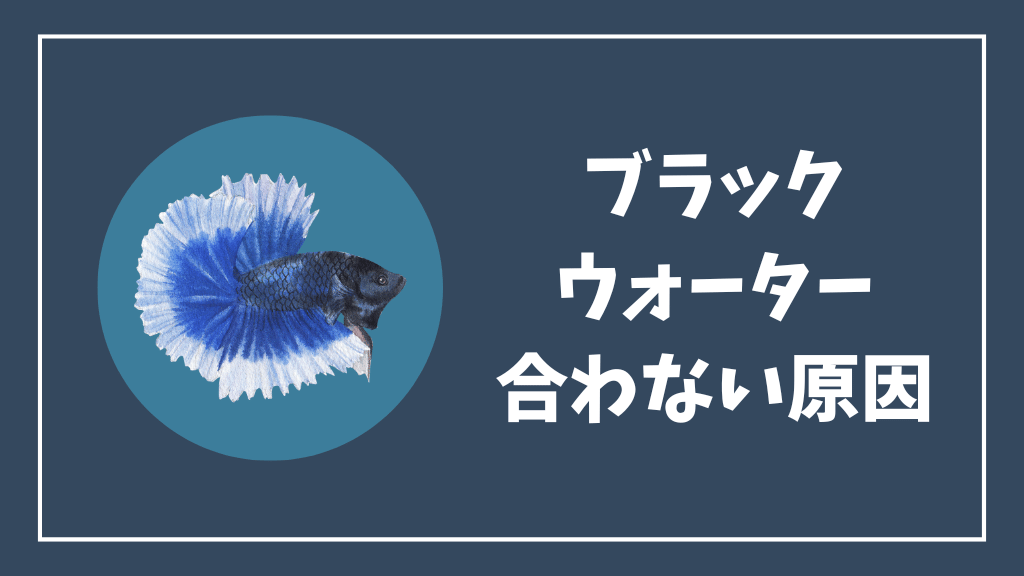 ベタにブラックウォーターが合わない原因