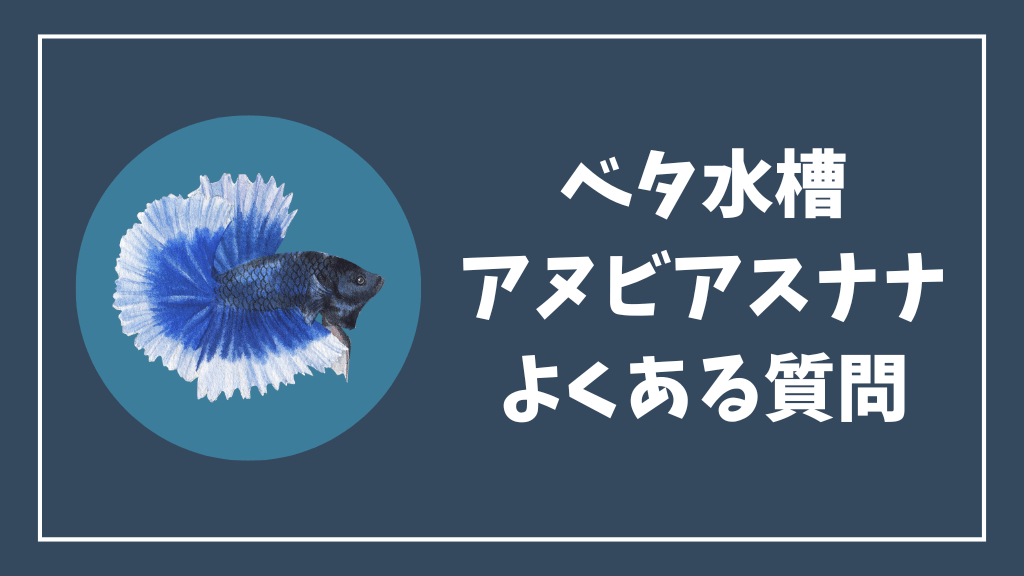 ベタ水槽のアヌビアスナナのよくある質問