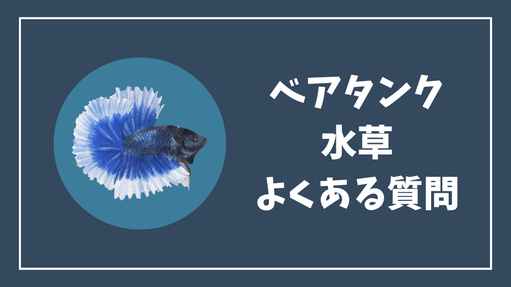 ベアタンクの水草のよくある質問