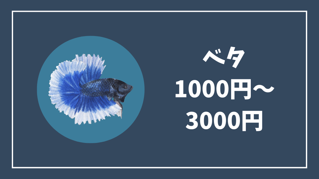 1000円~3000円のベタ