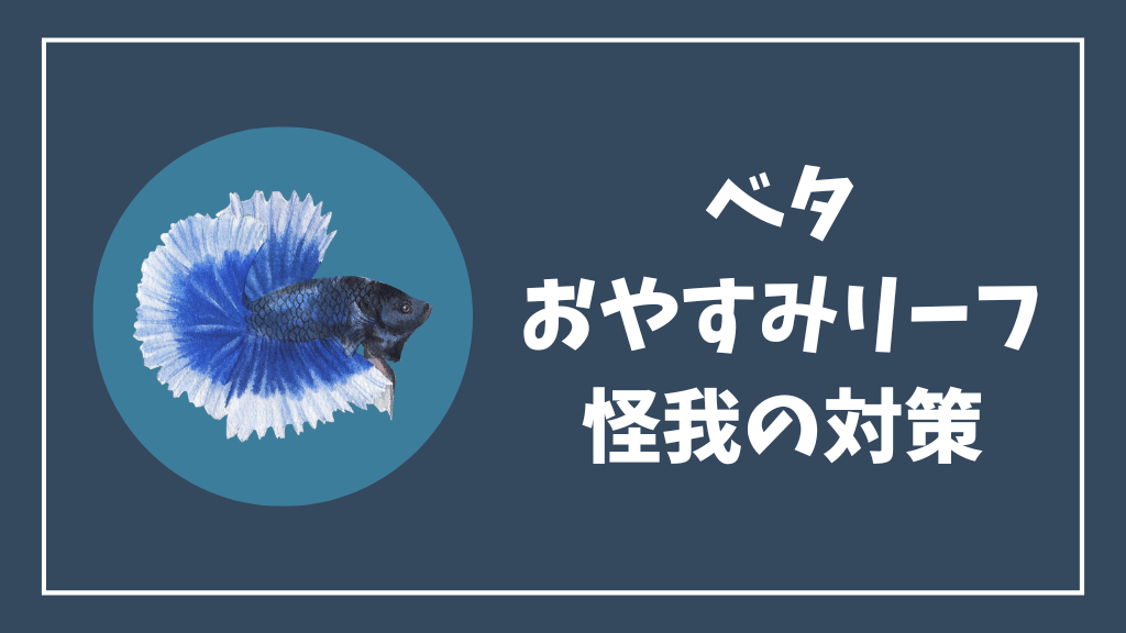 ベタのおやすみリーフの怪我の対策