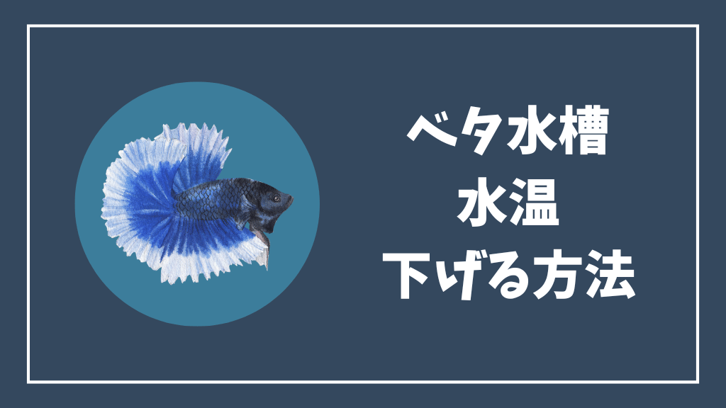 ベタ水槽の水温を下げる方法