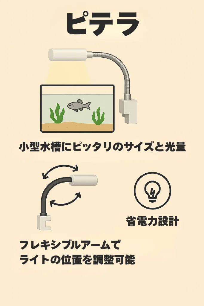 ピテラインフォグラフィック