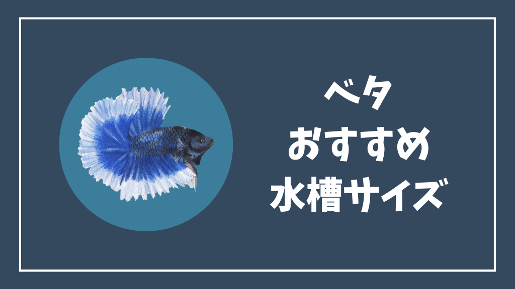 ベタのおすすめの水槽サイズ
