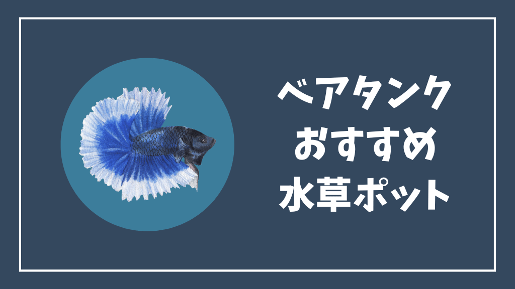 ベアタンクにおすすめの水草ポット