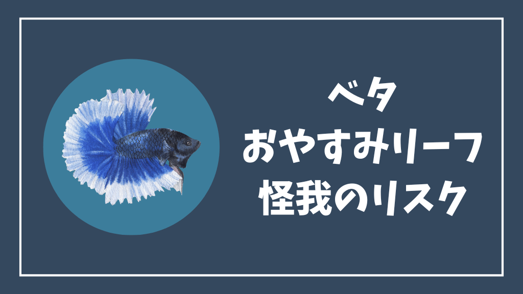 ベタのおやすみリーフの怪我のリスク