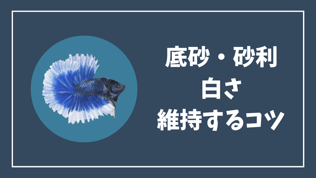 底砂・砂利の白さを維持するコツ